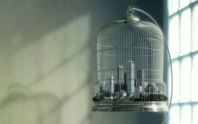 Мегаполис в птичьей клетке