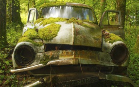 Покрытый мхом корпус автомобиля