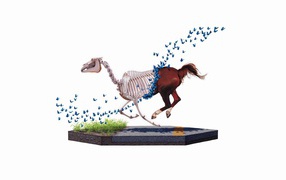 Бабочки съели лошадь