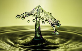 Гриб из всплеска воды