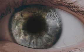 Открытый глаз человека