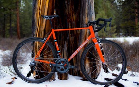 Оранжевый велосипед у дерева