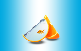 Долька апельсина в качестве аквариума