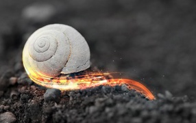 Rapid fire snail