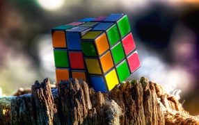 Кубик Рубика на остатках дерева