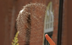 Мыльный пузырь проткнут пальцем