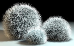 Шарики из мха