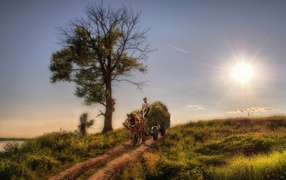 Крестьянин везет сено на телеге
