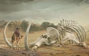 Скелет мамонта лежит в пустыне