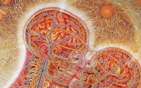 Настоящая химия любви