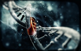 Нить жизни ДНК