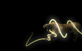 Тигр в энерго спирали