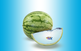 Арбуз как аквариум