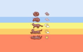 Прогноз погоды по коту