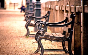 Кованые скамьи у деревянного забора