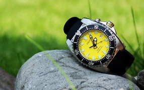 Желтые часы на камне