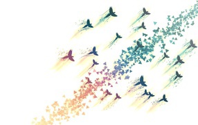 Нарисованные птицы на белом фоне