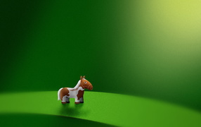 Лошадка на зеленой дорожке