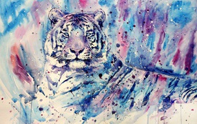 Image Tiger in violet tones