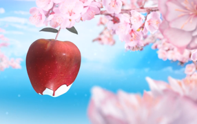 Красное яблоко среди розовых цветов