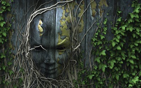 Лицо на деревянном заборе, увитое плющом