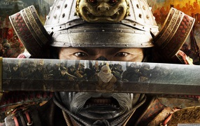 Солдат Чингисхана с мечом