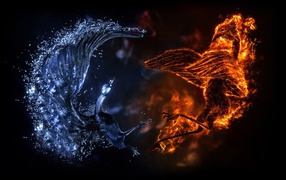 Battle of fire and water dragons