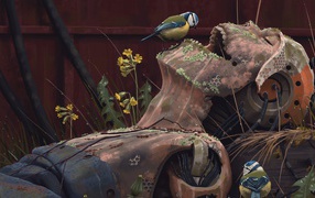 Птичка на старом андроиде