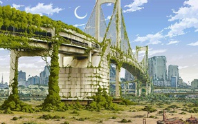 Мост в Нью-Йорке зарос зеленью