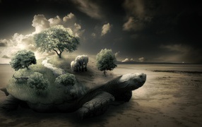 Слоны на черепахе на берегу моря