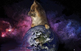 Fox put a paw on Earth
