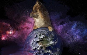 Лиса положила лапку на Землю