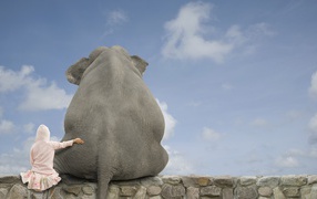 Девочка обнимает слона