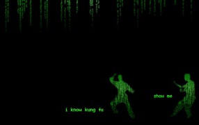 Кунг-фу в Матрице