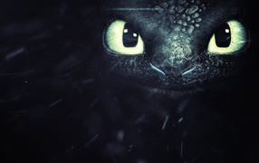 Маленький черный дракон