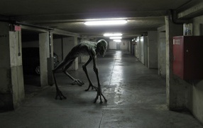 Монстр на подземной парковке