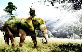 Покрытый мхом слон