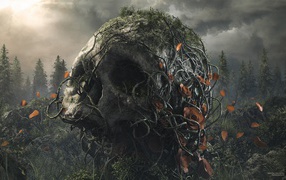 Поросший лианами большой череп