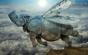 Носорог с крыльями стрекозы