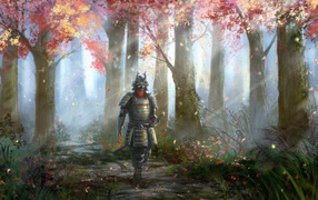 Самурай идет в лесу