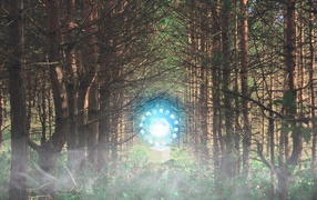 Временной портал посреди леса