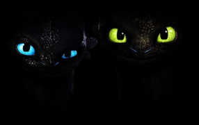 Два малыша черного дракона