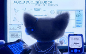 Кот около монитора