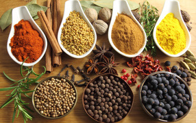 Плошки с разными специями