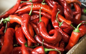 Коробка с перцем чили