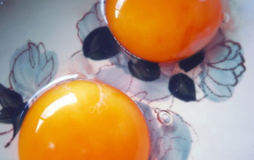 Два яичных желтка