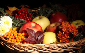 Apples and berries in the basket