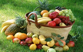 Basket of various fruit on a green lawn