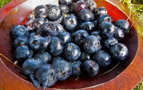 Blueberries on a plate