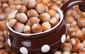 Hazelnuts in a cup